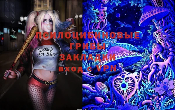 ECSTASY Балахна